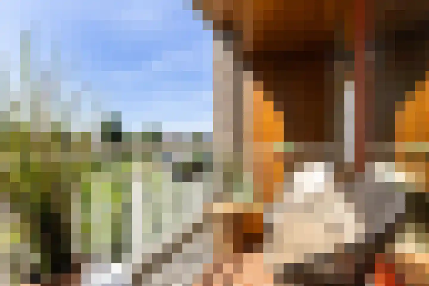 Tolhûswei 14 Leeuwarden thumbnail 29
