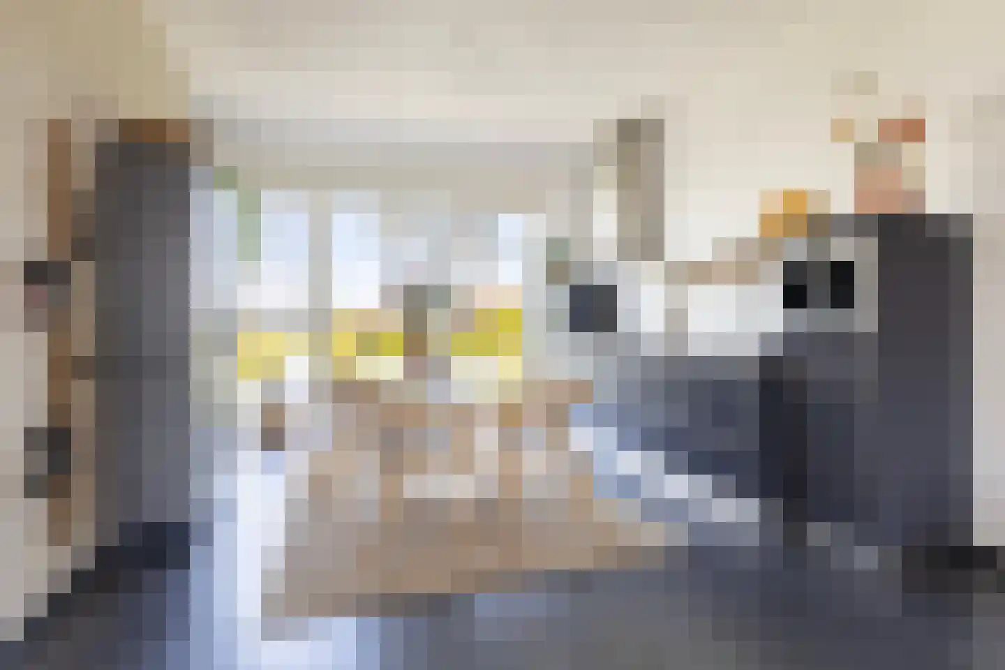 Tolhûswei 14 Leeuwarden thumbnail 34