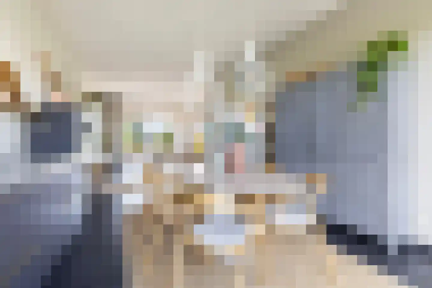 Tolhûswei 14 Leeuwarden thumbnail 35