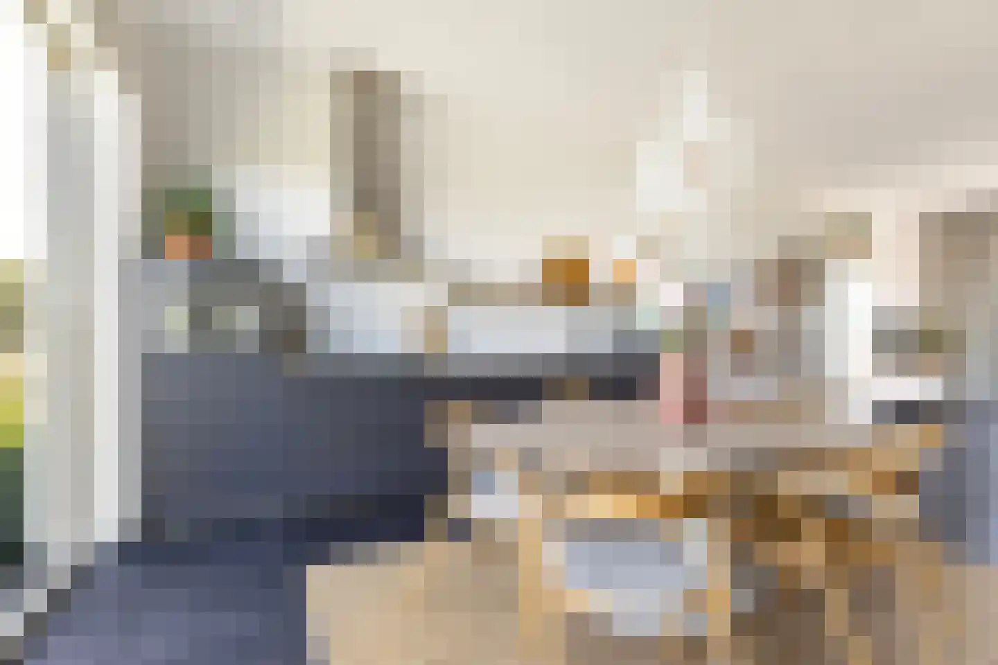 Tolhûswei 14 Leeuwarden thumbnail 36
