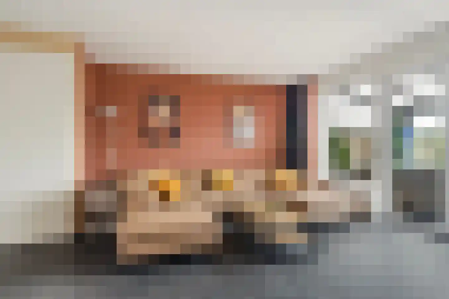 Tolhûswei 46 Leeuwarden thumbnail 11