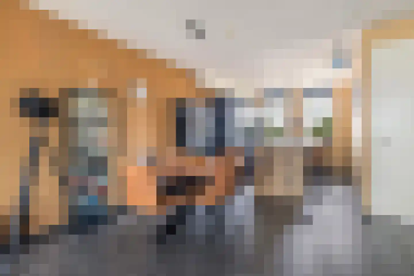 Tolhûswei 46 Leeuwarden thumbnail 13