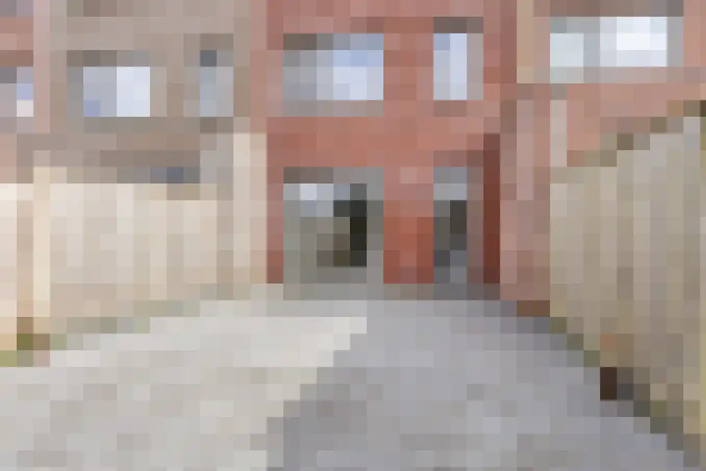 Tolhûswei 56 Leeuwarden thumbnail 7