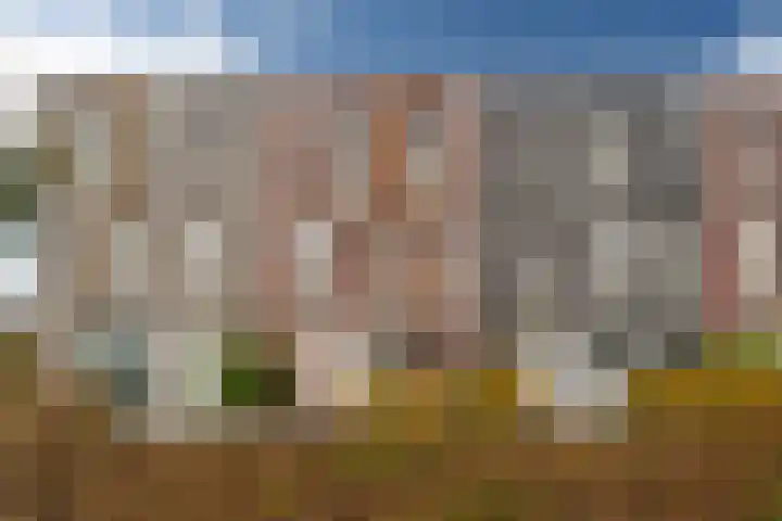 Tolhûswei 72 Leeuwarden