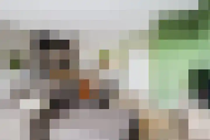 Tolhûswei 72 Leeuwarden thumbnail 11