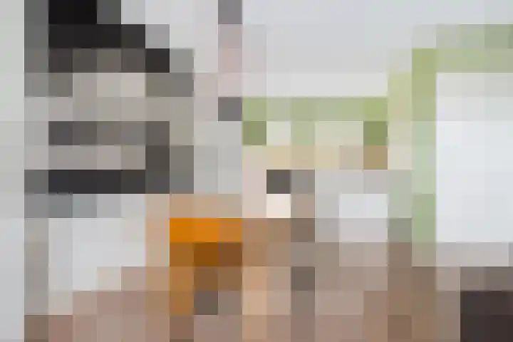 Tolhûswei 72 Leeuwarden thumbnail 12
