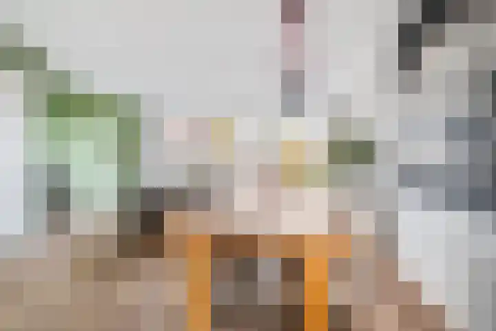 Tolhûswei 72 Leeuwarden thumbnail 13