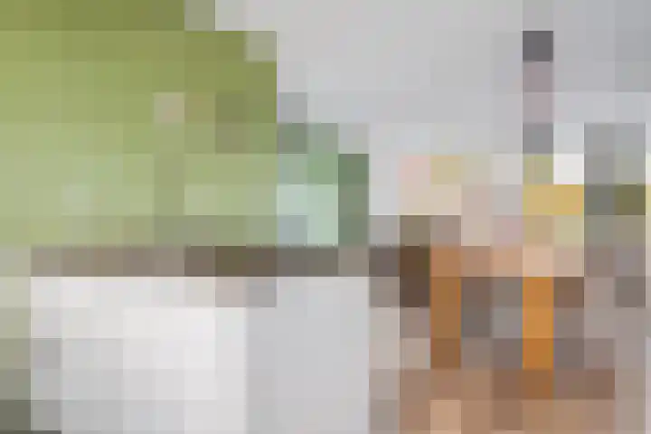 Tolhûswei 72 Leeuwarden thumbnail 15