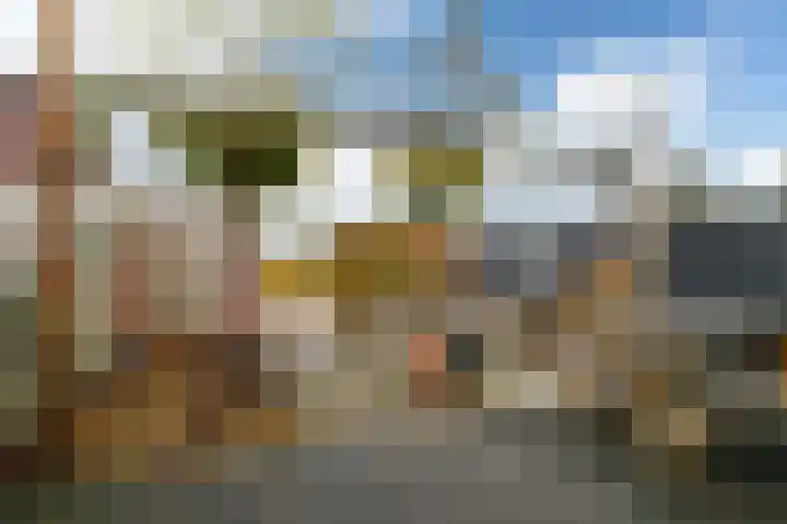 Tolhûswei 72 Leeuwarden thumbnail 18