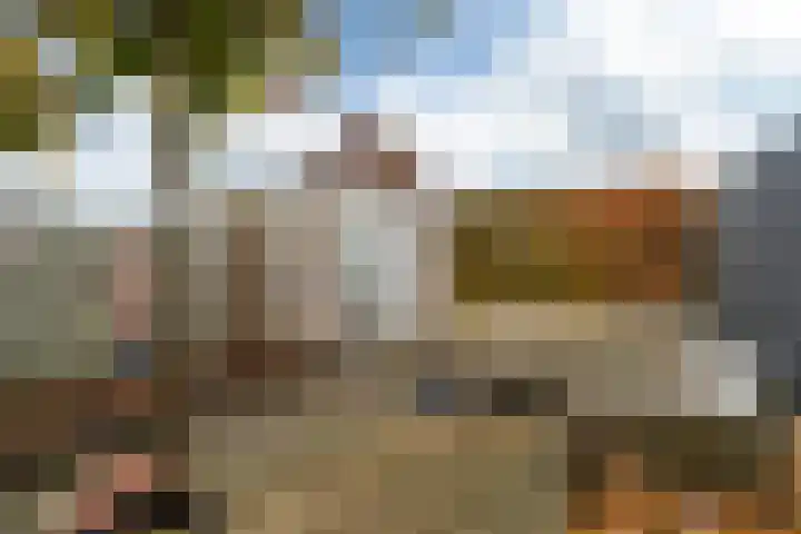 Tolhûswei 72 Leeuwarden thumbnail 19