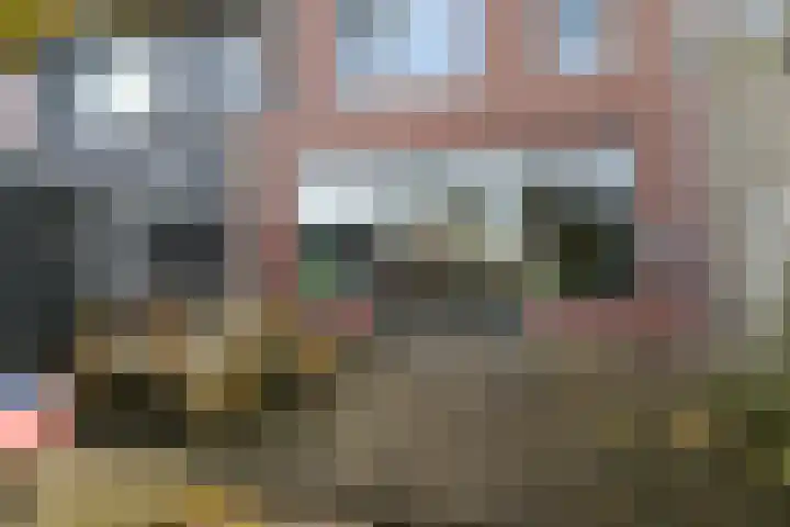 Tolhûswei 72 Leeuwarden thumbnail 20