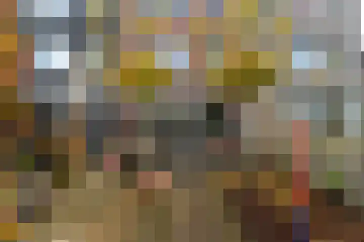 Tolhûswei 72 Leeuwarden thumbnail 21