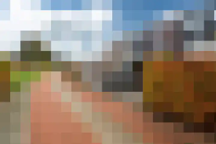 Tolhûswei 72 Leeuwarden thumbnail 22