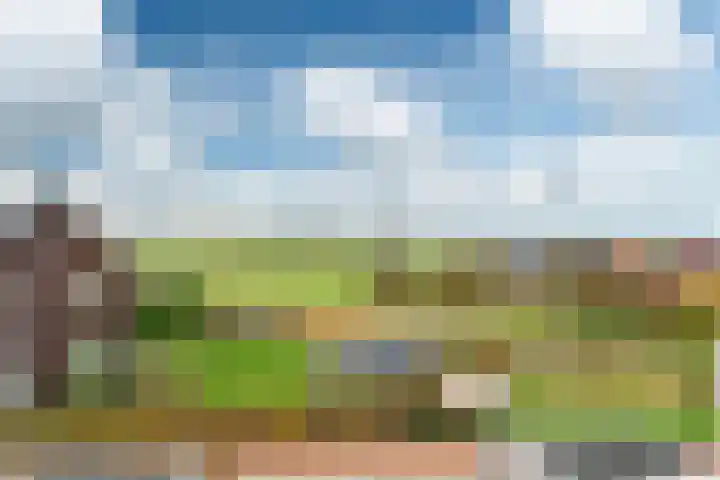 Tolhûswei 72 Leeuwarden thumbnail 33
