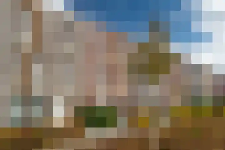 Tolhûswei 72 Leeuwarden thumbnail 38