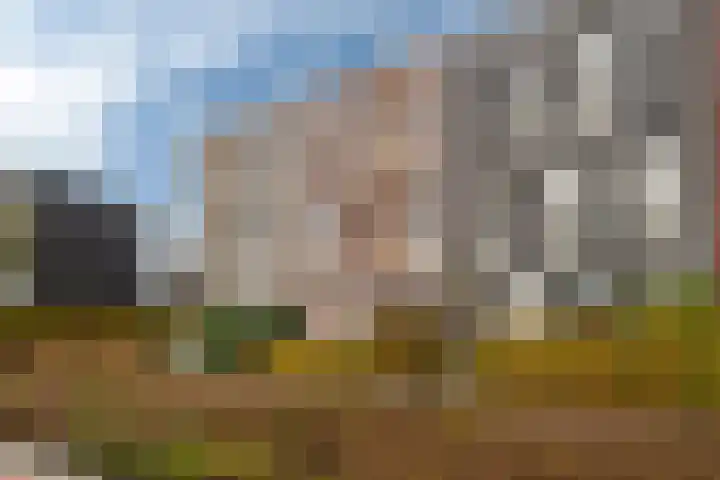 Tolhûswei 72 Leeuwarden thumbnail 39
