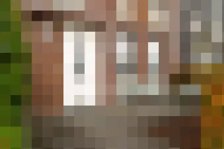 Tolhûswei 72 Leeuwarden thumbnail 4