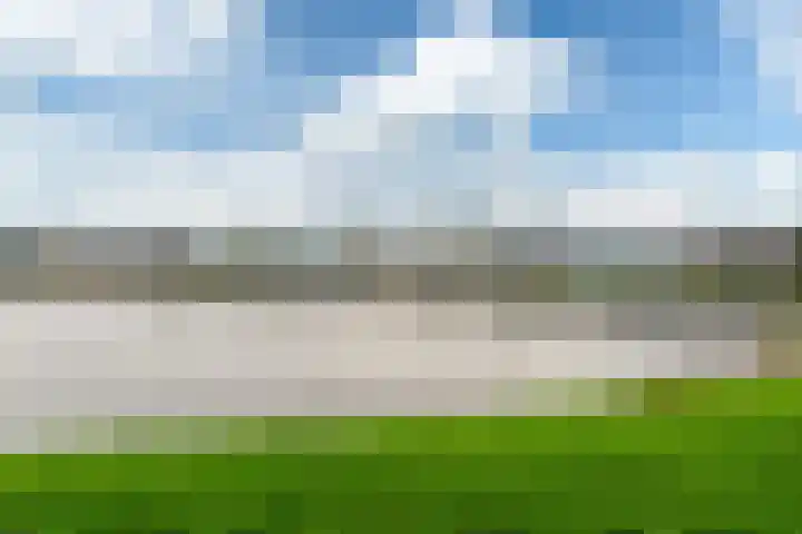 Tolhûswei 72 Leeuwarden thumbnail 40