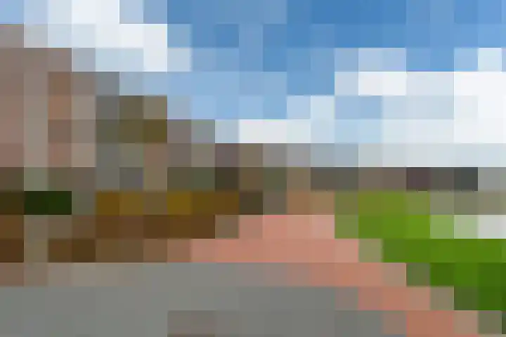 Tolhûswei 72 Leeuwarden thumbnail 41