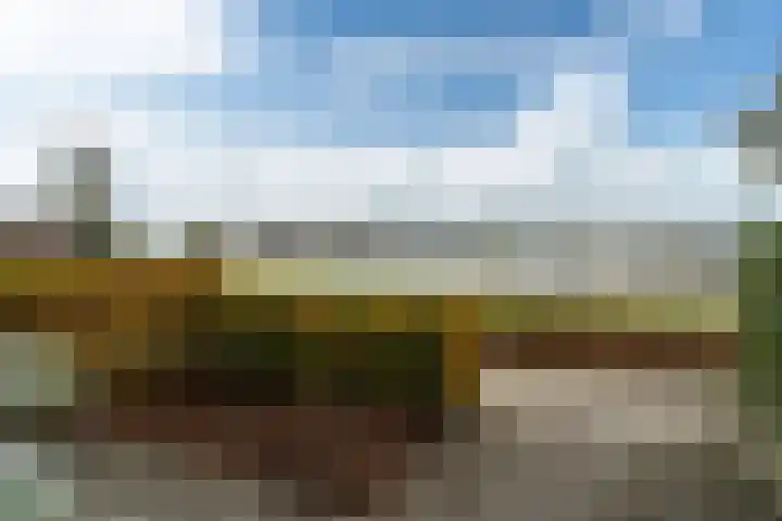 Tolhûswei 72 Leeuwarden thumbnail 5