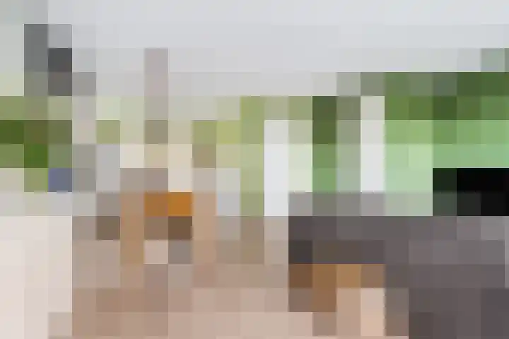 Tolhûswei 72 Leeuwarden thumbnail 9