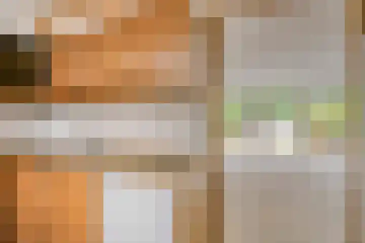 Tolick 131 Hoogland thumbnail 14