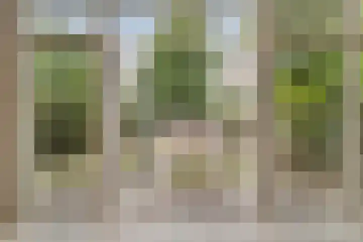 Tolick 131 Hoogland thumbnail 15