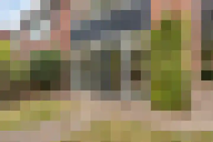 Tolick 131 Hoogland thumbnail 30