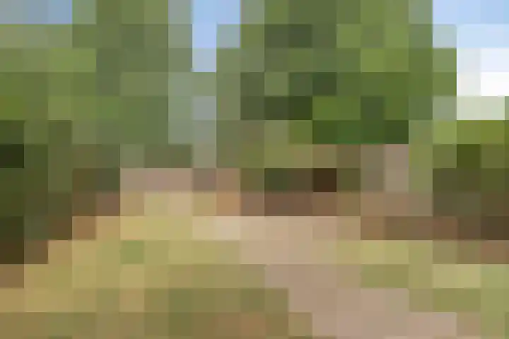 Tolick 131 Hoogland thumbnail 31