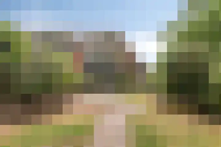 Tolick 131 Hoogland thumbnail 32