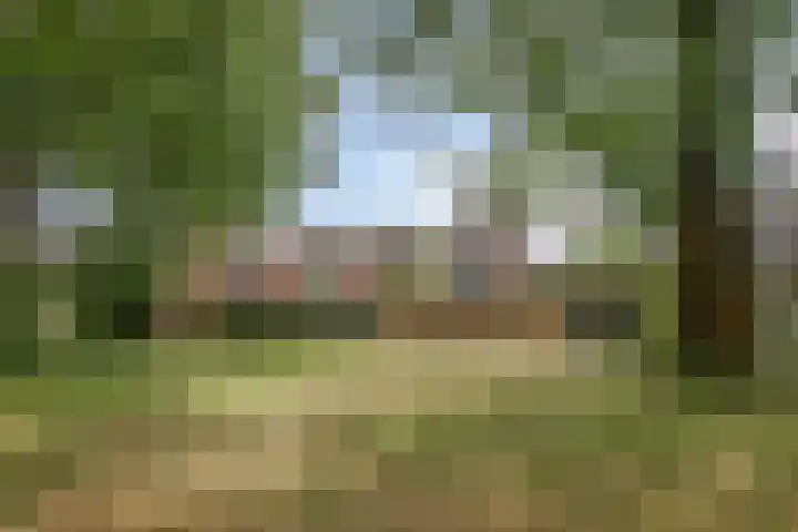 Tolick 131 Hoogland thumbnail 35
