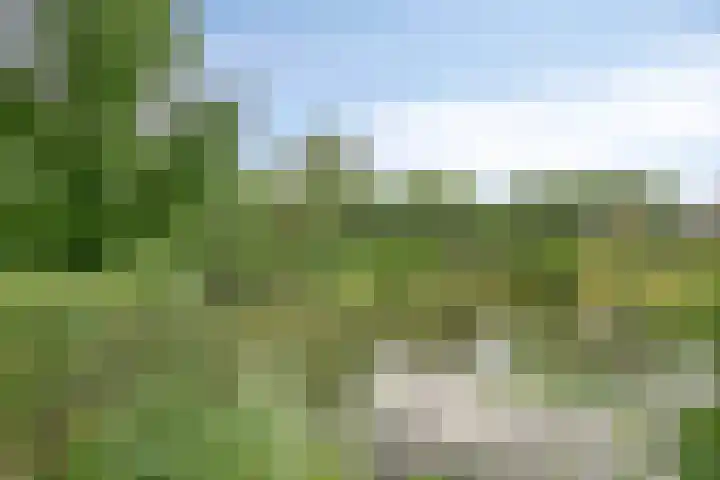 Tolick 131 Hoogland thumbnail 36