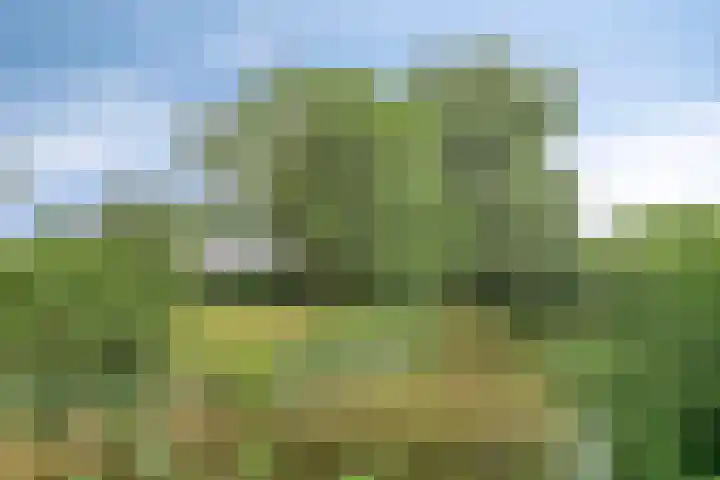 Tolick 131 Hoogland thumbnail 37