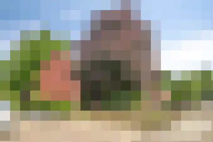 Tolick 131 Hoogland thumbnail 6