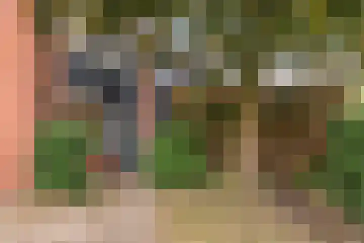 Tolick 131 Hoogland thumbnail 7