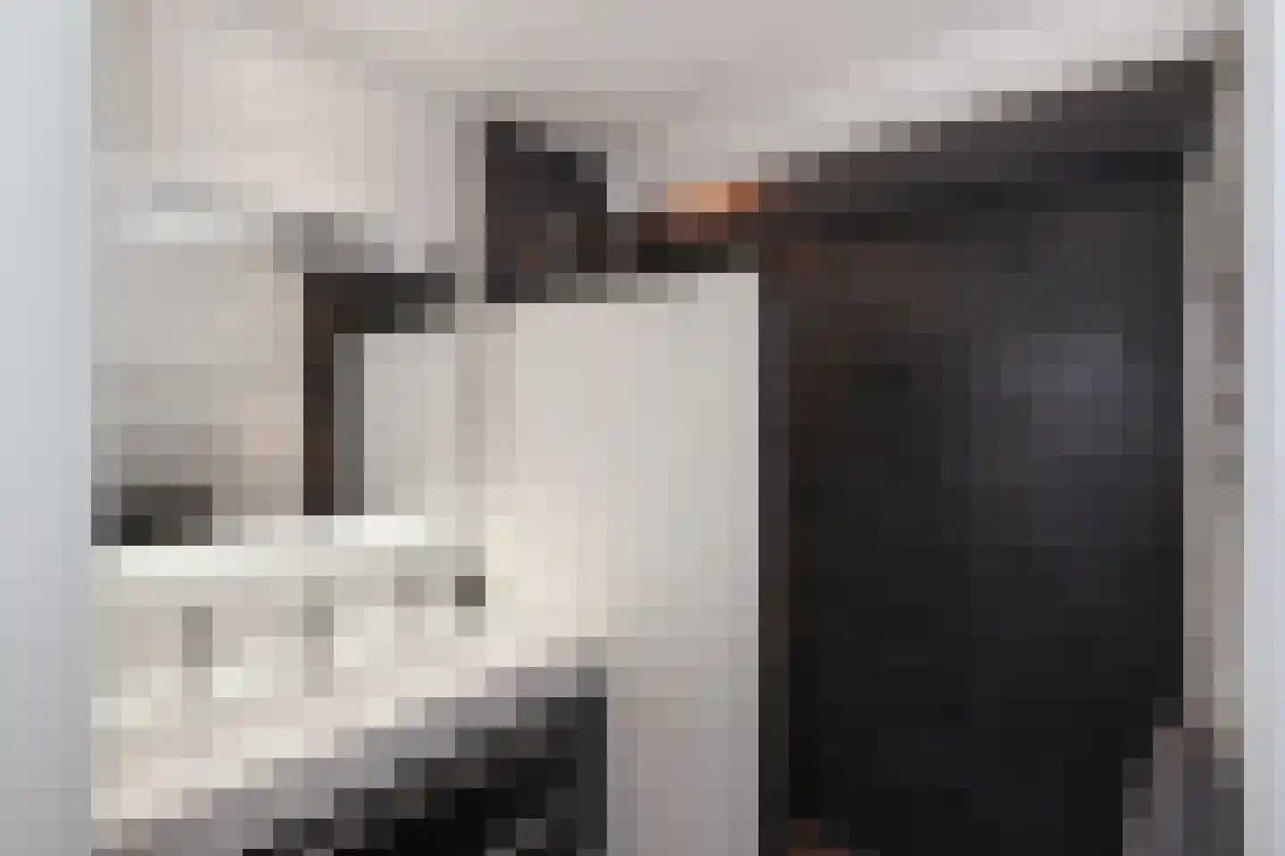 Tolick 3 Hoogland thumbnail 17