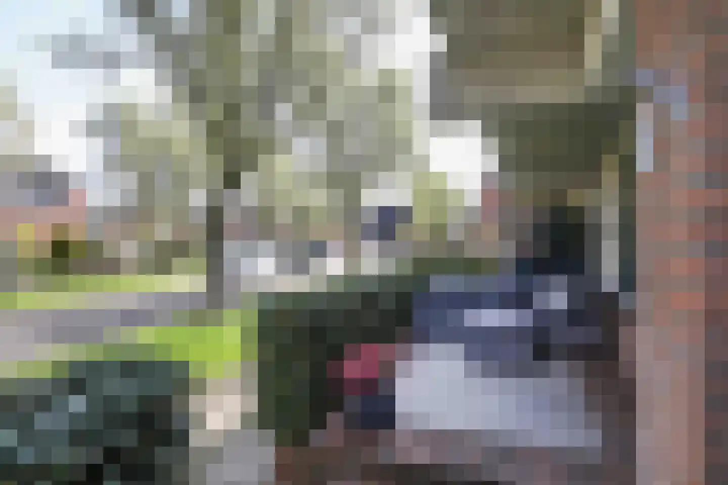 Tolick 3 Hoogland thumbnail 24