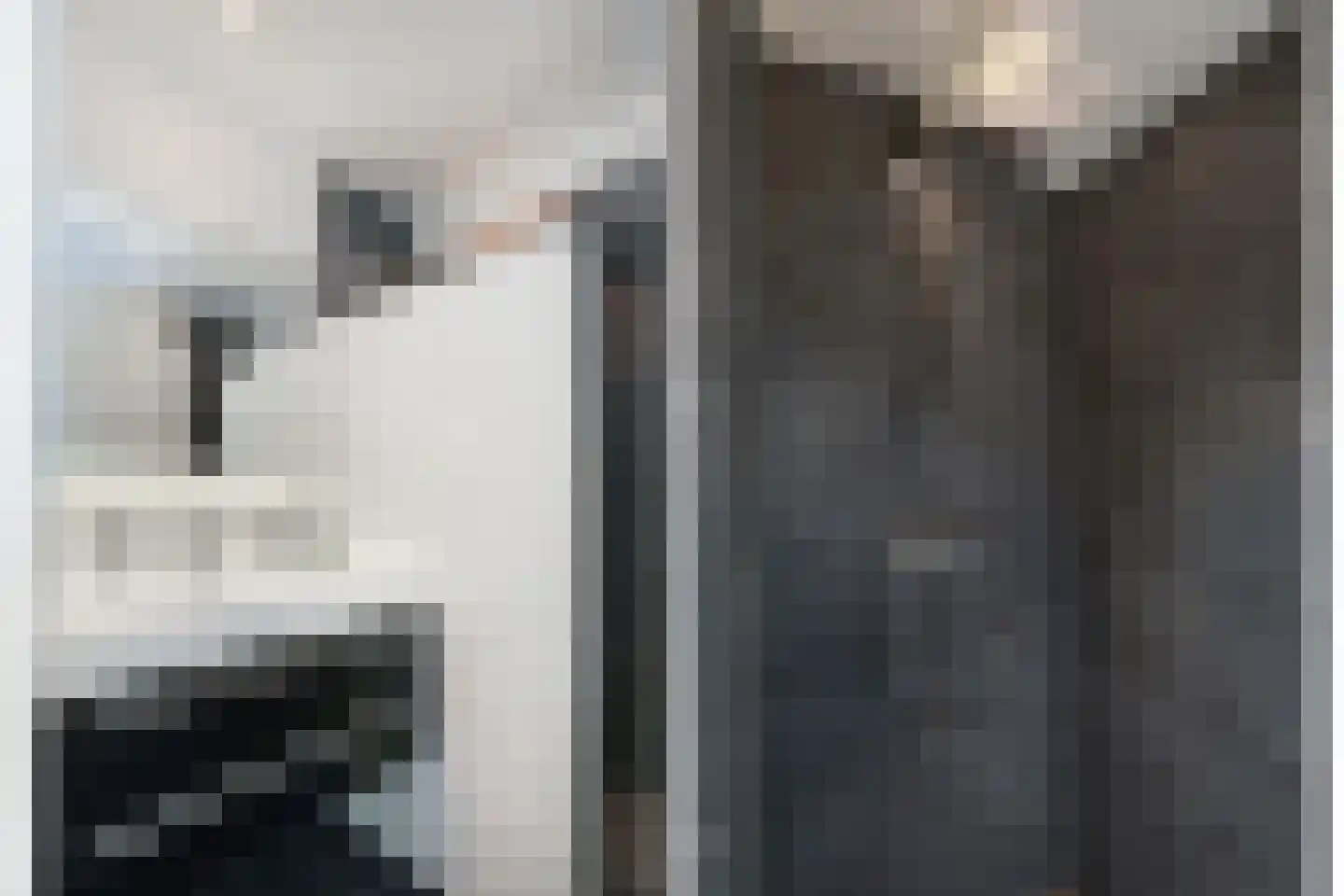 Tolick 3 Hoogland thumbnail 4