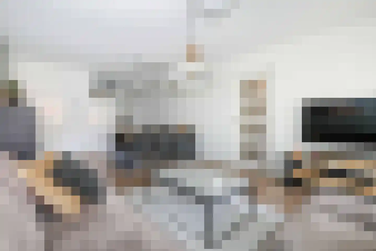 Tolick 3 Hoogland thumbnail 9