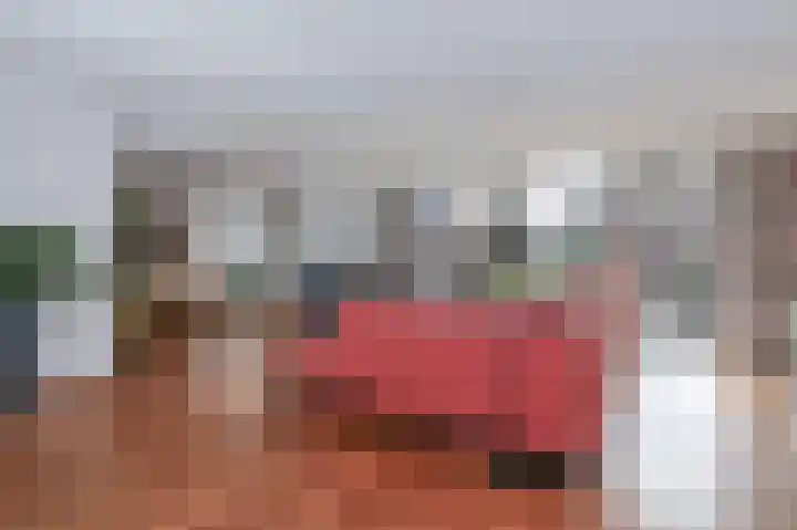 Tolick 41 Hoogland thumbnail 10