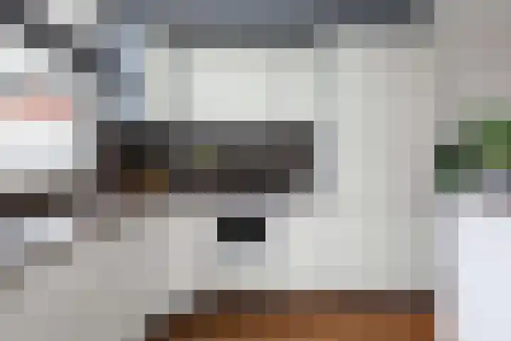 Tolick 41 Hoogland thumbnail 17