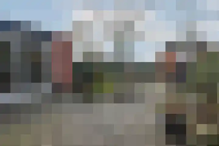 Tolick 41 Hoogland thumbnail 32