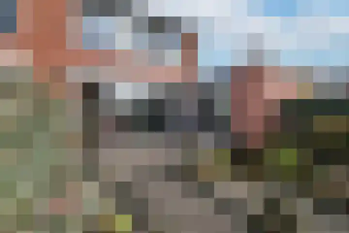 Tolick 41 Hoogland thumbnail 33