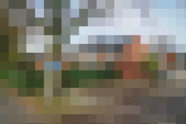 Tolick 41 Hoogland thumbnail 35
