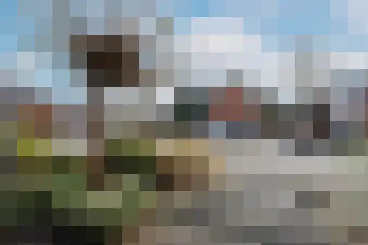 Tolick 41 Hoogland thumbnail 39