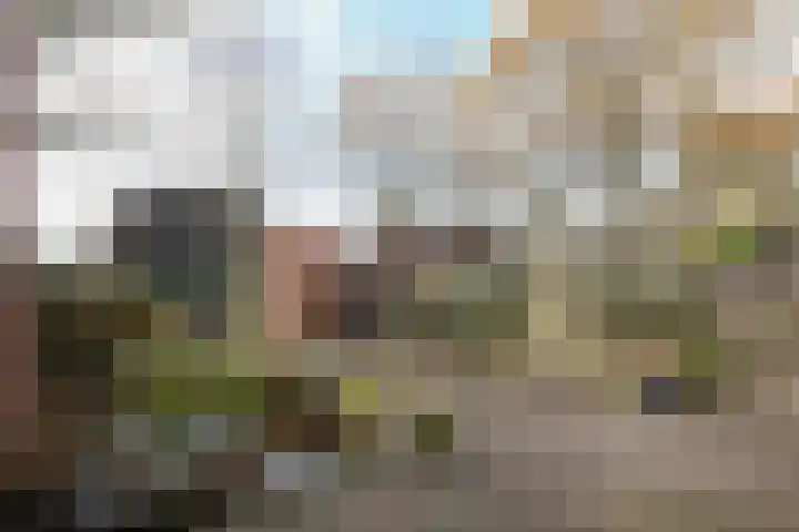 Tolick 41 Hoogland thumbnail 5