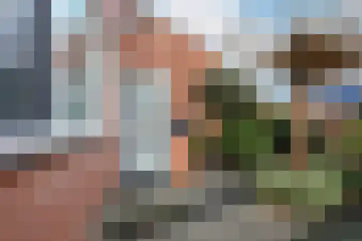 Tolick 41 Hoogland thumbnail 6
