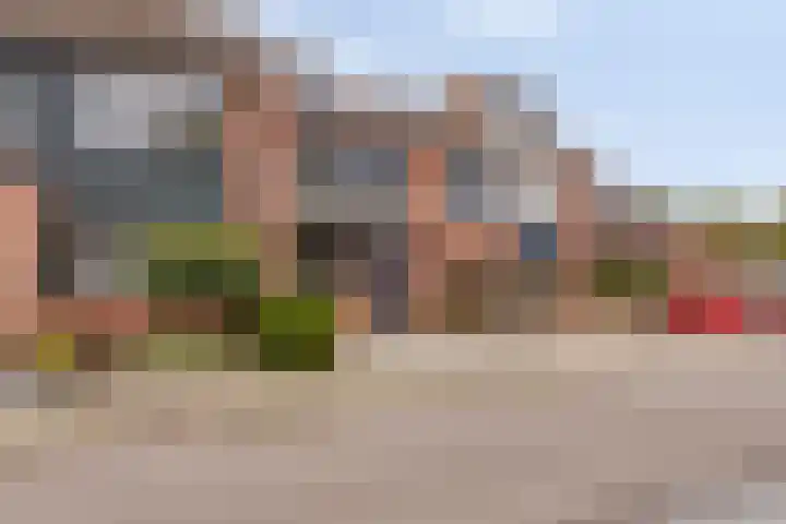Tolick 62 Hoogland thumbnail 28