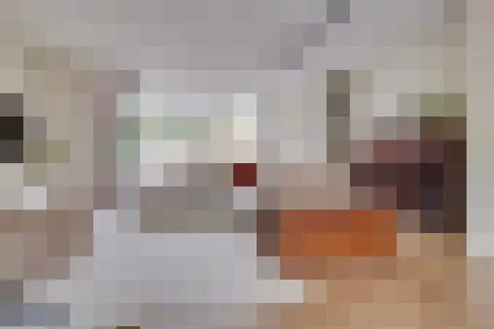 Tolick 77 Hoogland thumbnail 11