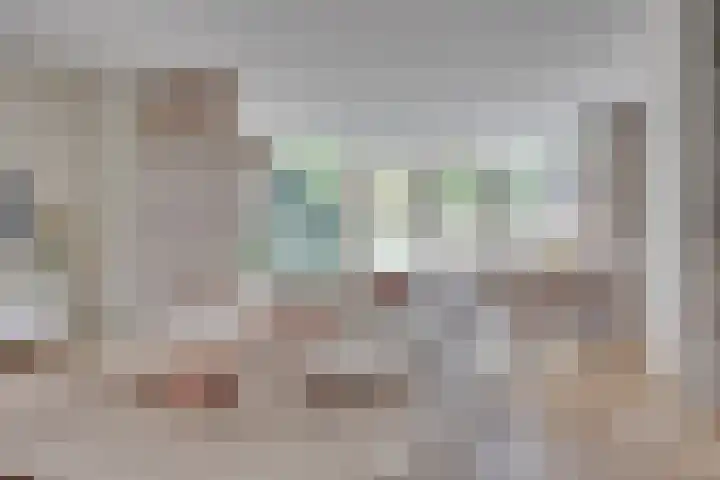 Tolick 77 Hoogland thumbnail 13